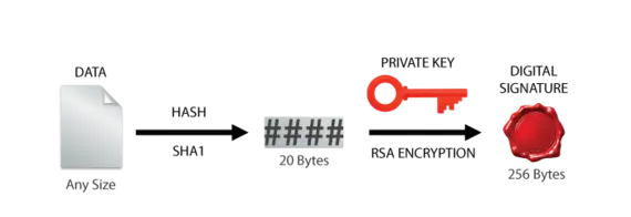 Flowchart illustrating data conversion: a document of any size transforms into a hashed representation, followed by the generation of multiple keys and a wax seal, symbolizing security and authentication processes.