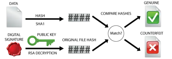 Flowchart illustrating digital signature verification. It shows a digital signature being decrypted with a key, producing a hash. The hash is then compared to a second hash to check for a match, indicating authenticity or counterfeiting.