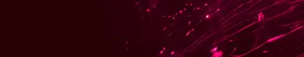 Build Part of background image