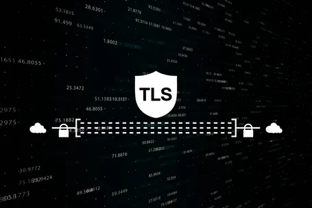 A shield icon labeled "TLS" is centered in the image. Surrounding it are abstract representations of data streams and lock symbols, indicating secure data transmission. The background features dark shades with numeric sequences, emphasizing the theme of cybersecurity and data protection.