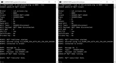 mqtt client pub sub